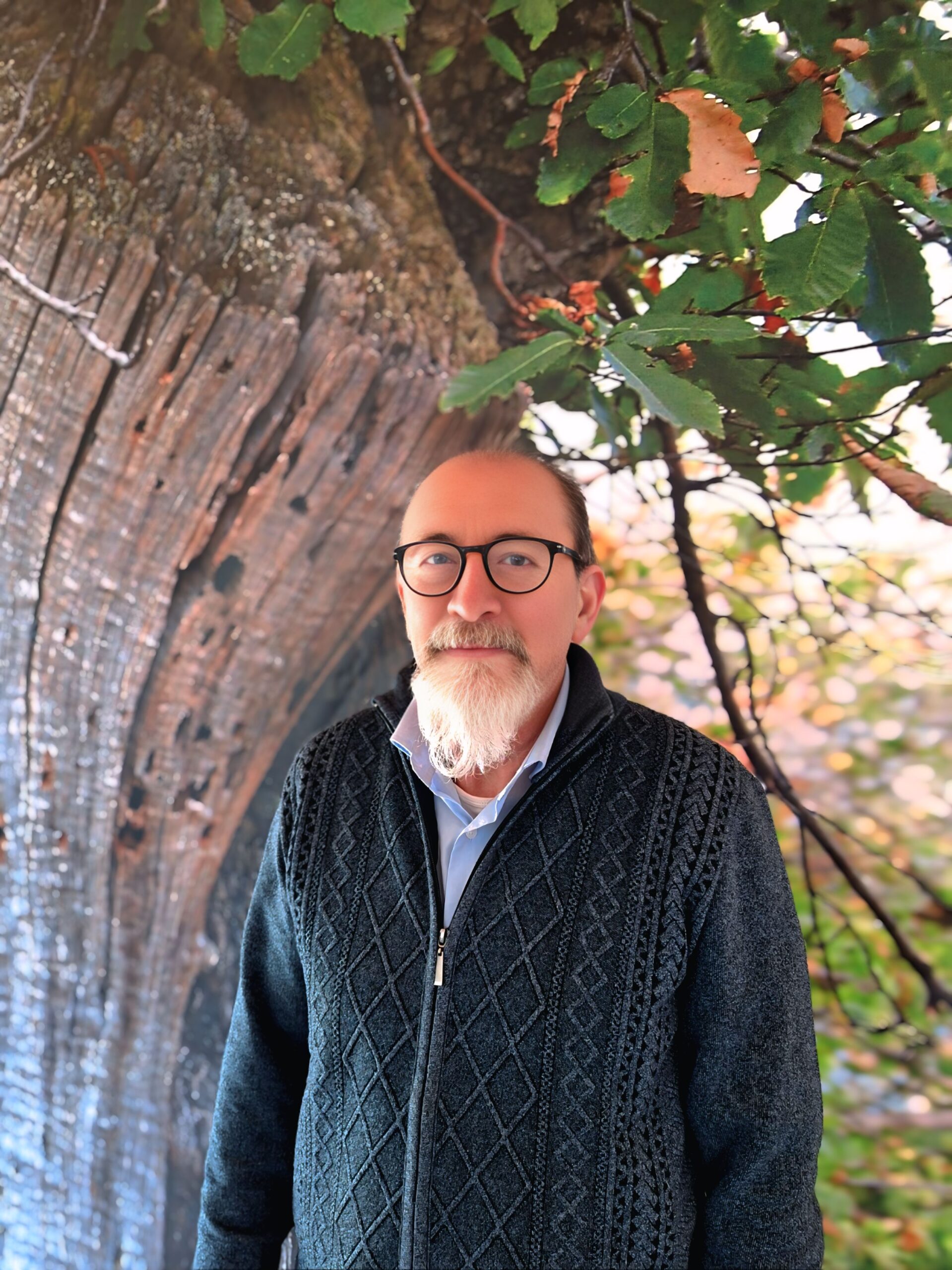 lorenzo lorenzo