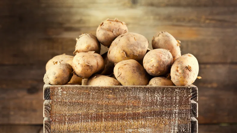 patate home patate home